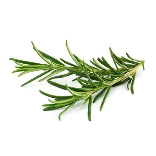 Essential oil - Rosemary - thepurehaven