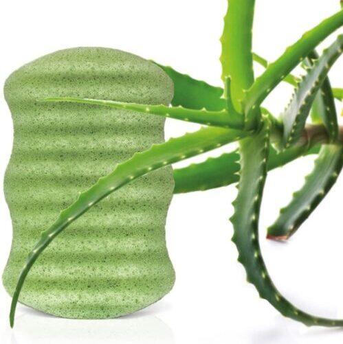 Konjac Sponge Aloe Vera - Body - thepurehaven